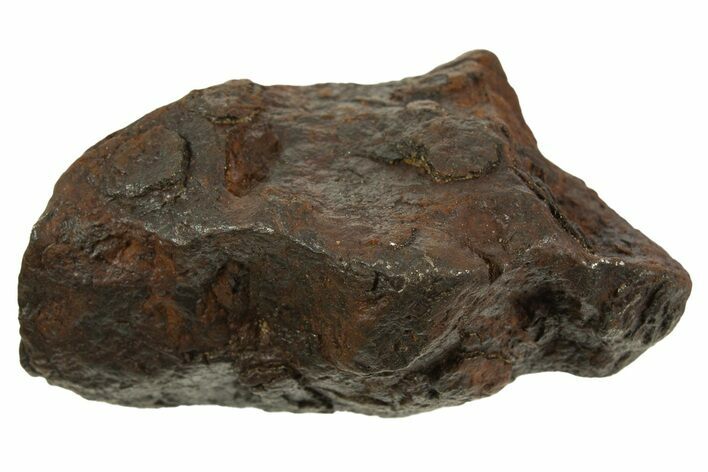 Canyon Diablo Iron Meteorite ( g) - Arizona #335972